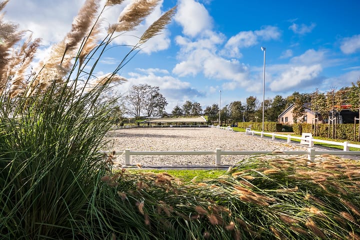 Foto 67 van Patersweg 13