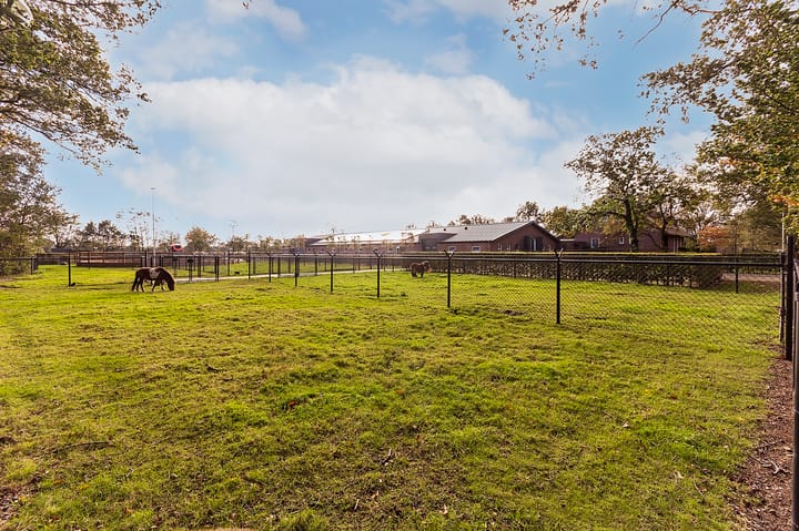 Foto 74 van Patersweg 13