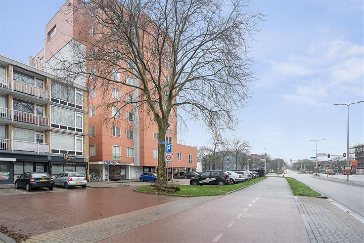 Bekijk foto 46 van Stadhoudersplein 137