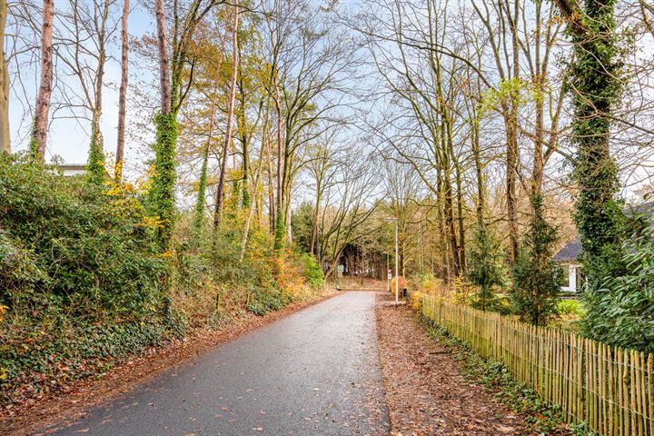 Bekijk foto 28 van Bloemendalsweg 13-F13