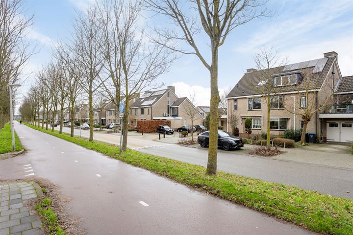 Bekijk foto 33 van Boerhaavelaan 46