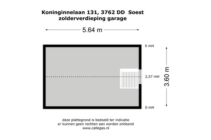 Bekijk foto 31 van Koninginnelaan 131