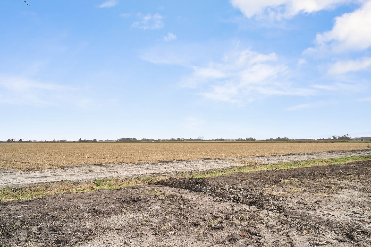 Foto 5 van Zuiderweg 2