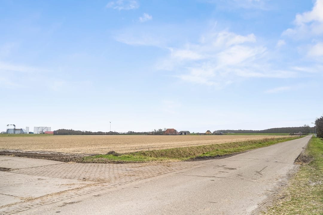 Foto 7 van Zuiderweg 2