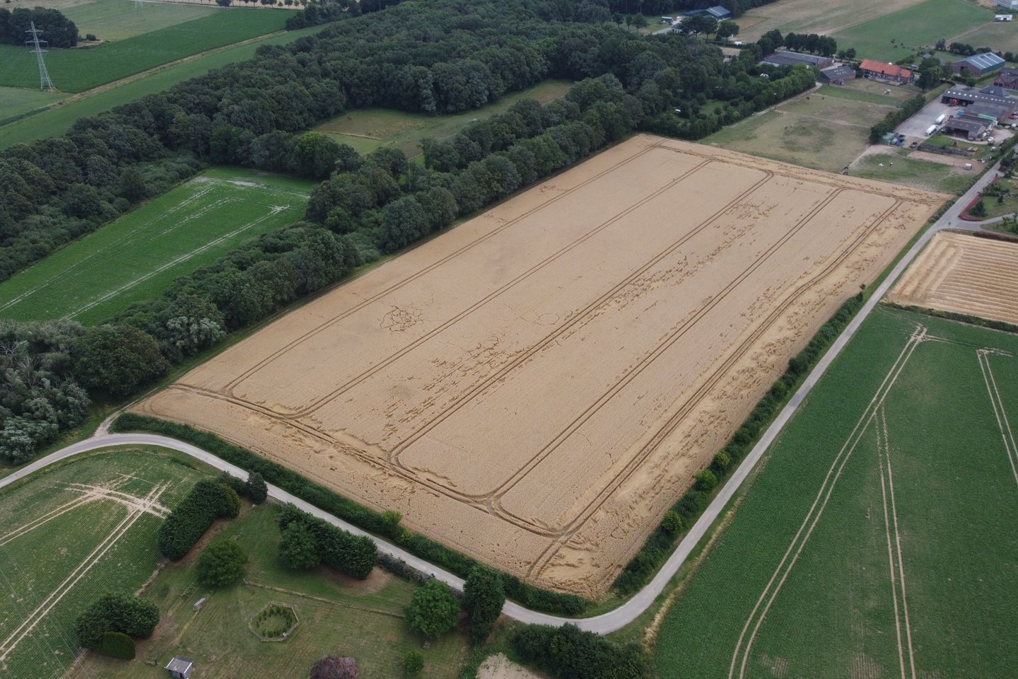 Bekijk foto 3 van Raayerveldweg