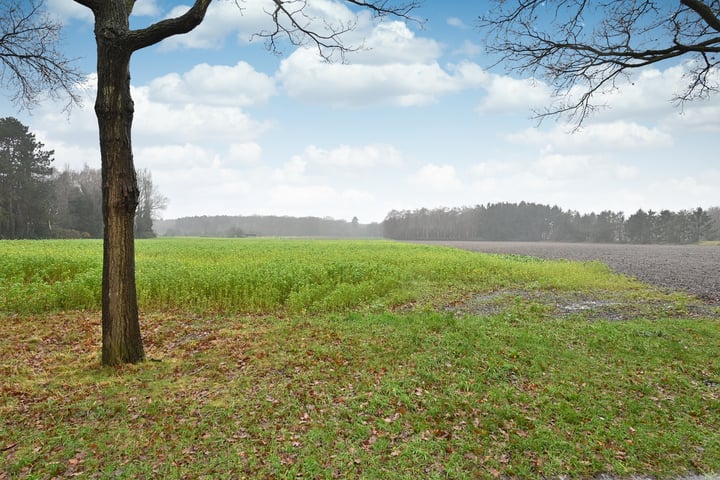 Bekijk foto 3 van Driftweg 31