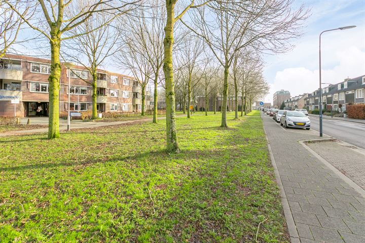 Bekijk foto 37 van Rijnauwenstraat 8