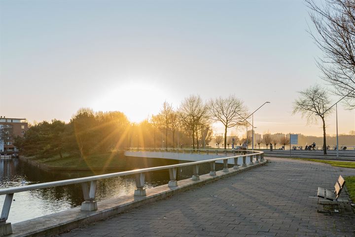 Bekijk foto 43 van Burgemeester Hogguerstraat 393-C