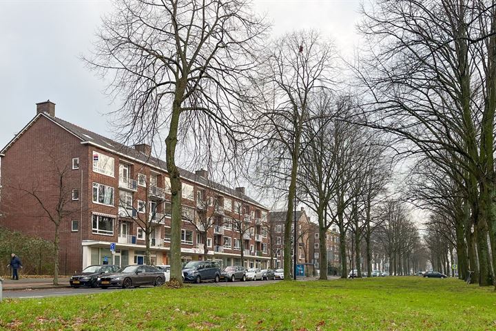 Bekijk foto 1 van Huis te Landelaan 39