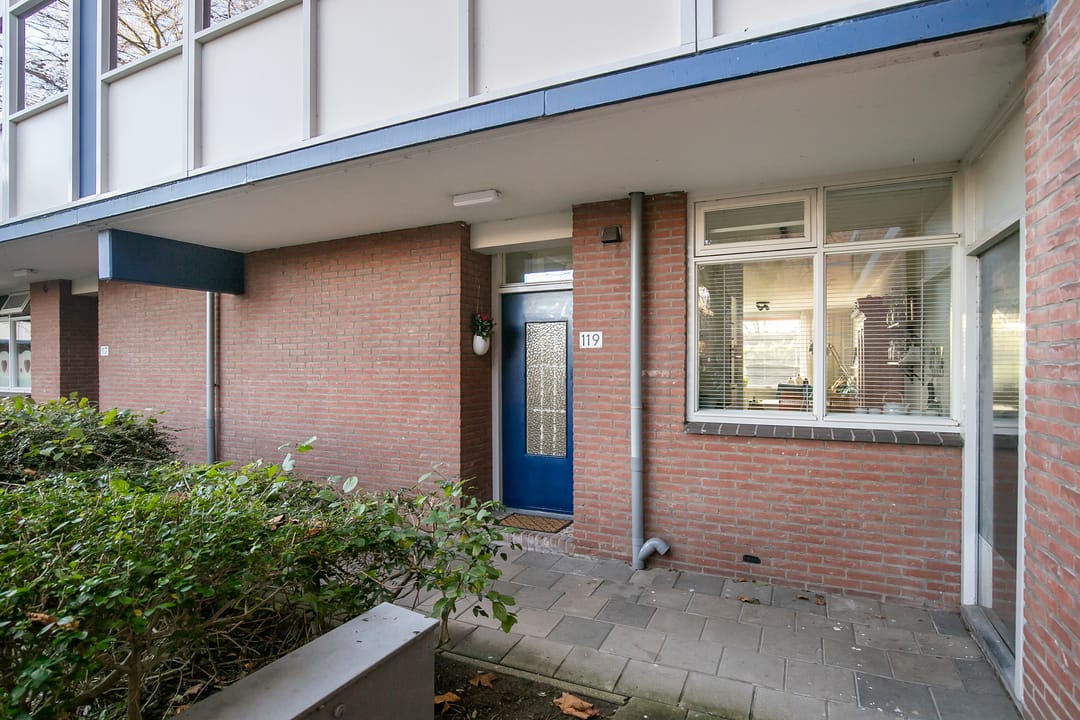 Foto 2 van Burgemeester de Raadtsingel 119