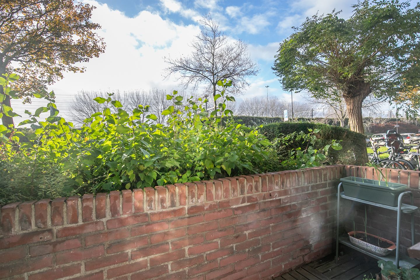 Foto 19 van Burgemeester de Raadtsingel 119