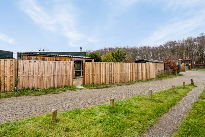 Foto 20 van Duinschooten 12-232