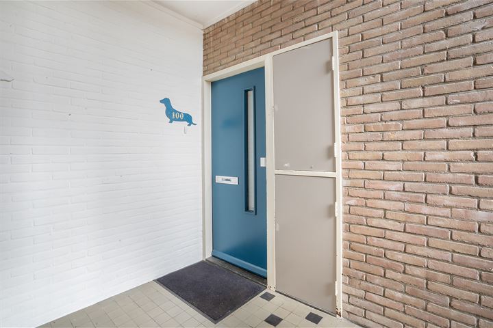 Bekijk foto 32 van Ambonstraat 100