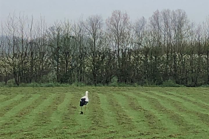 Bekijk foto 43 van Lopikerweg oost 144-C