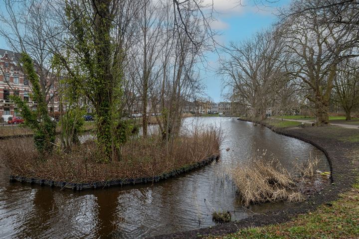 Bekijk foto 61 van Hogewoerd 118