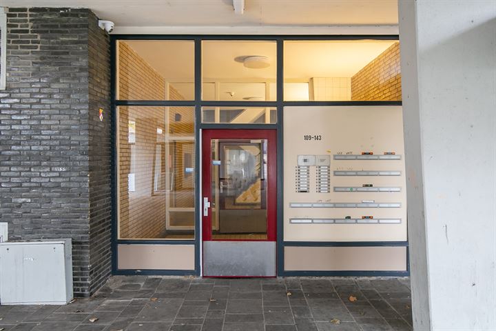 Bekijk foto 35 van van Baerlestraat 141