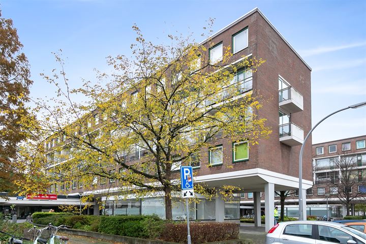 Bekijk foto 46 van van Baerlestraat 141