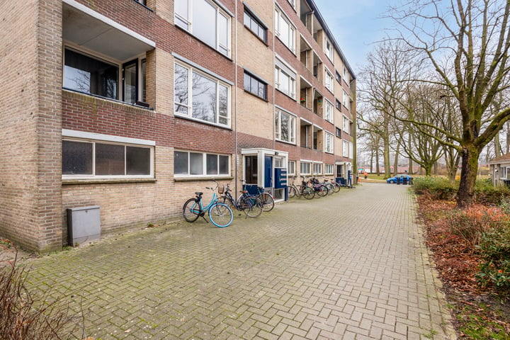 View photo 6 of Waalstraat 326