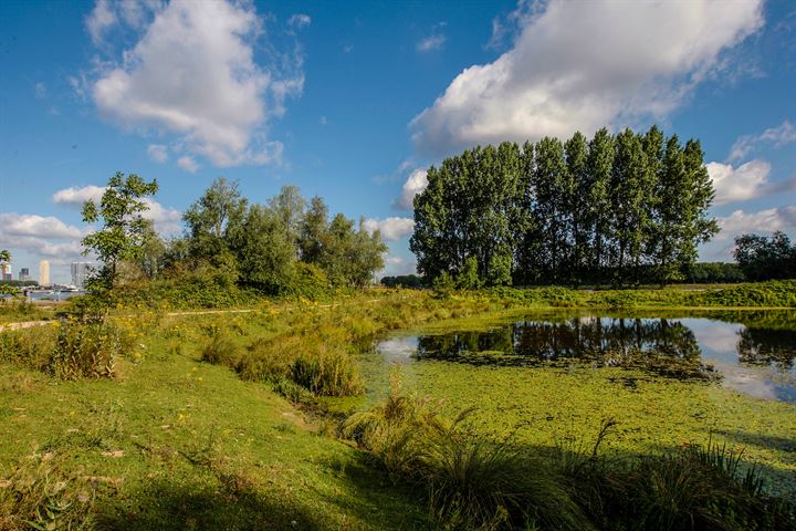 Bekijk foto 24 van Zuiddiepje 134