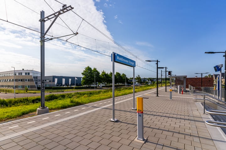 Bekijk foto 35 van Regenboogforel 37