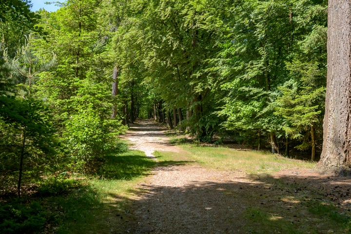 Bekijk foto 6 van Stoppelbergweg