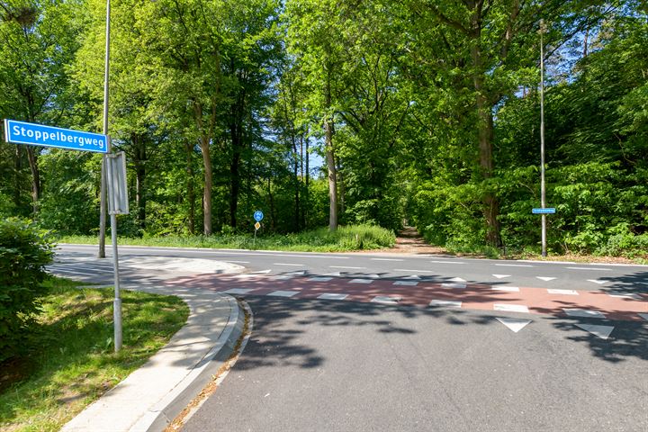 Bekijk foto 5 van Stoppelbergweg