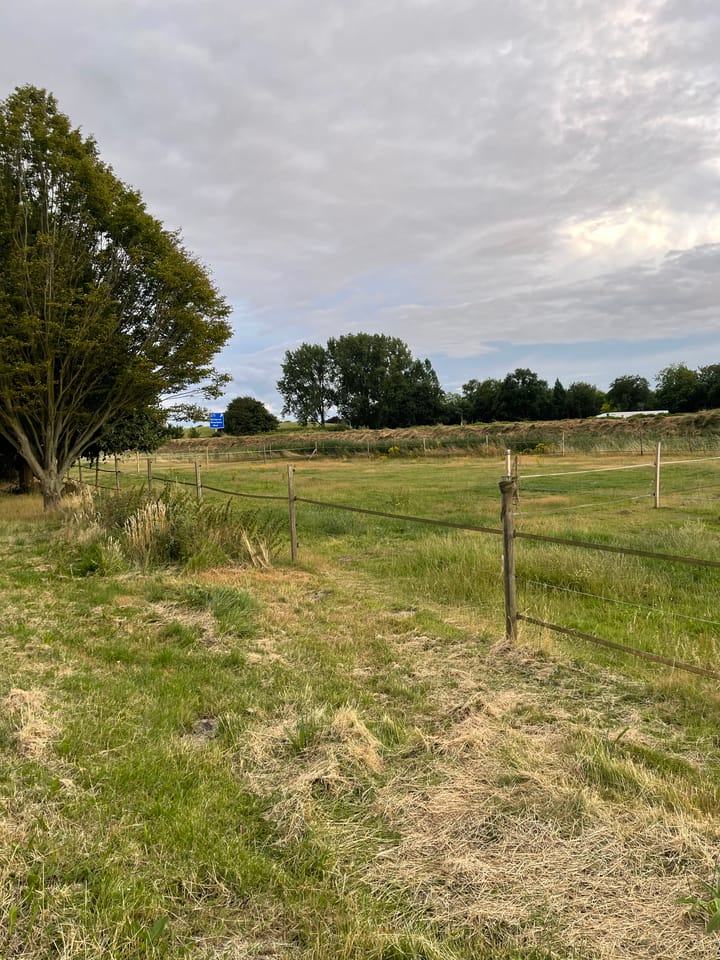 Foto 3 van Boslaan 13