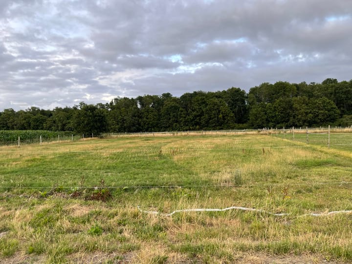 Foto 5 van Boslaan 13