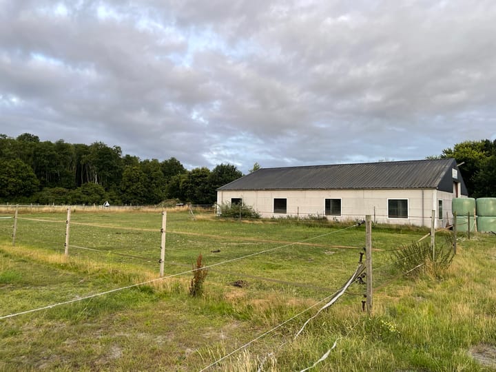 Foto 7 van Boslaan 13