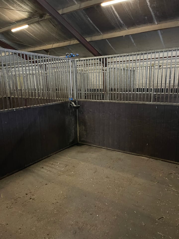 Foto 9 van Boslaan 13