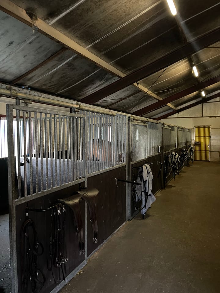 Foto 8 van Boslaan 13