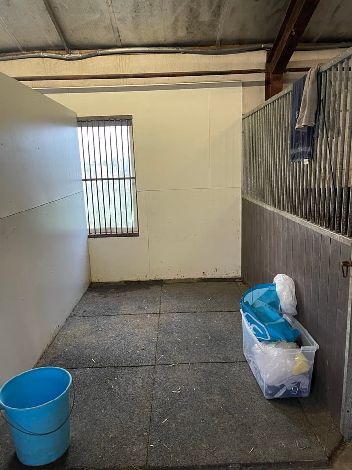 Foto 11 van Boslaan 13