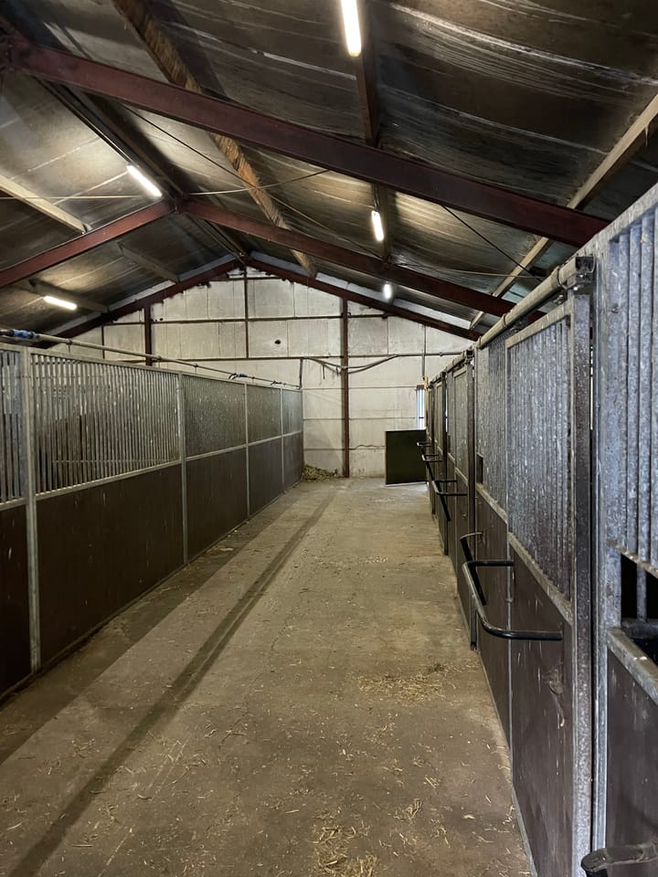 Foto 12 van Boslaan 13