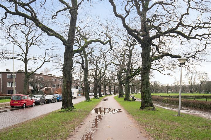 Bekijk foto 41 van Leeghwaterstraat 254