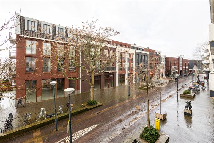 Bekijk foto 15 van Van Boetzelaerstraat 19-A