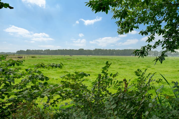 Photo 46 of Garmingerstukken 3