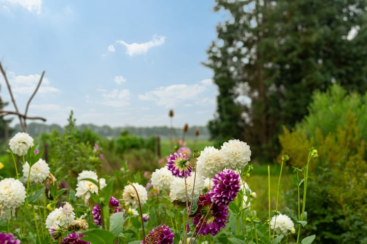 Photo 53 of Garmingerstukken 3