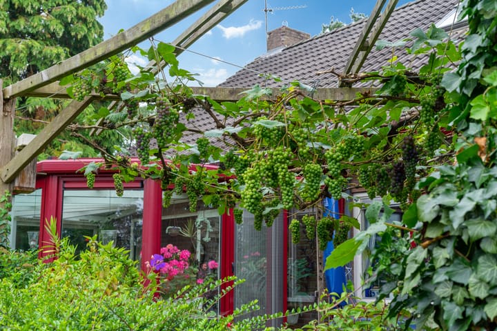 Photo 55 of Garmingerstukken 3