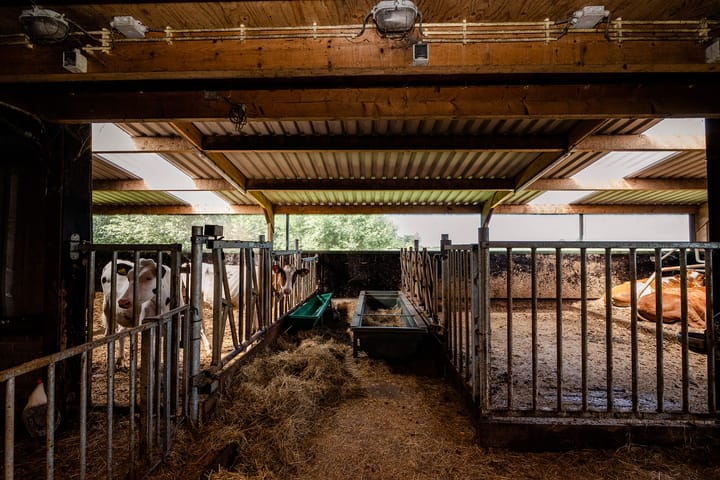 Foto 30 van Jisperdijk 2-A