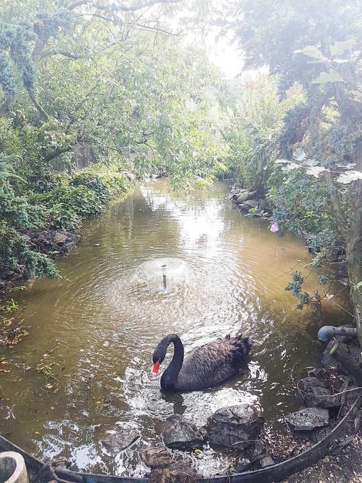 Foto 37 van Jisperdijk 2-A