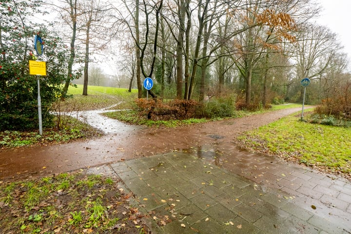 Bekijk foto 36 van Beltrumbrink 114