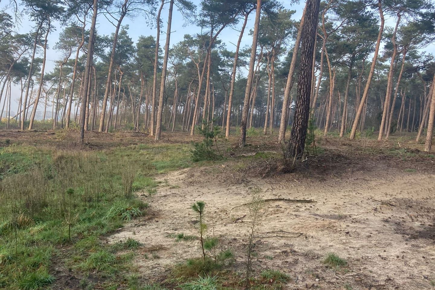 Bekijk foto 1 van Stevensbeekseweg