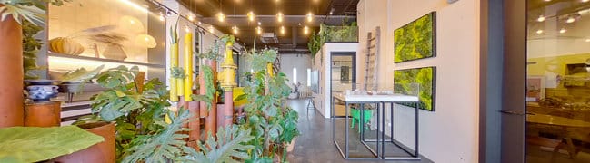 Bekijk 360° foto van foto1 van Bajeskwartier | The Martin