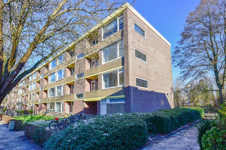 Bekijk foto 1 van Spaanse Aakstraat 21