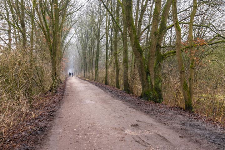 Bekijk foto 43 van Marsmanlaan 48