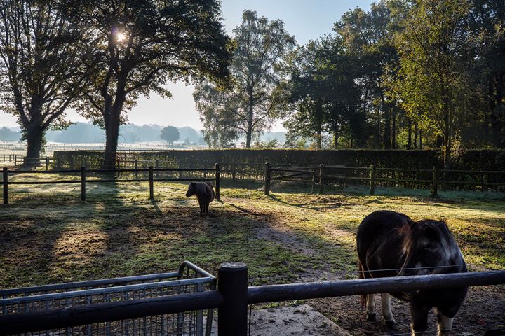 Bekijk foto 52 van Bonteweg 57