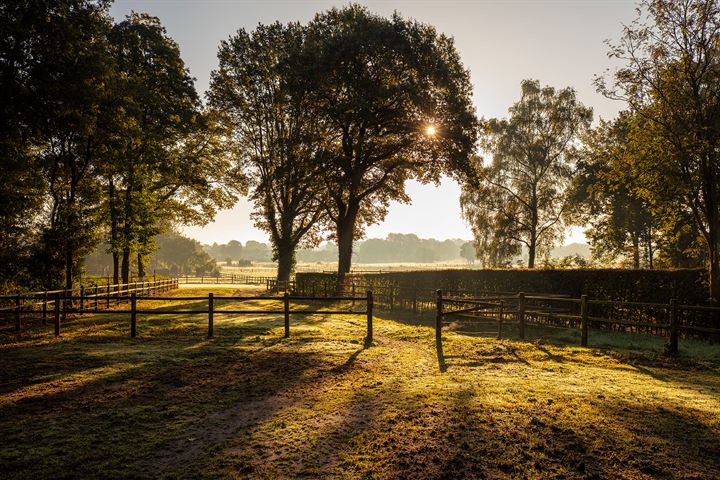 Bekijk foto 55 van Bonteweg 57