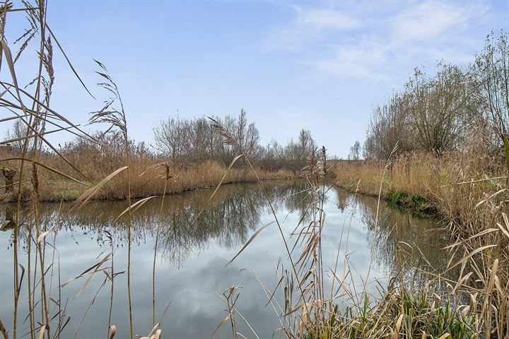 Bekijk foto 47 van Kooikerstraat 84