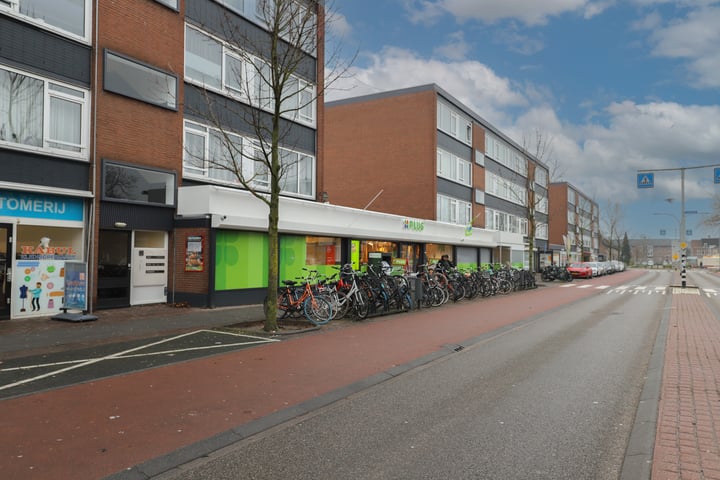 Bekijk foto 46 van Plutostraat 42