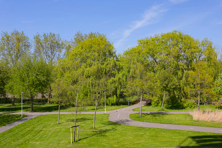 Bekijk foto 10 van Zuster Meijboomstraat 135